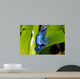 Frog Wall Decal Design 1