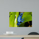 Frog Wall Decal Design 1