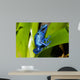 Frog Wall Decal Design 1