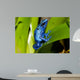 Frog Wall Decal Design 1