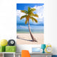 Summer at a tropical paradise in Florida Keys, USA 