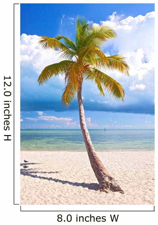 Summer at a tropical paradise in Florida Keys, USA 