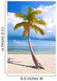 Summer at a tropical paradise in Florida Keys, USA 