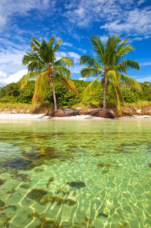 Summer at a tropical paradise in Florida Keys, USA 