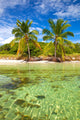 Summer at a tropical paradise in Florida Keys, USA 