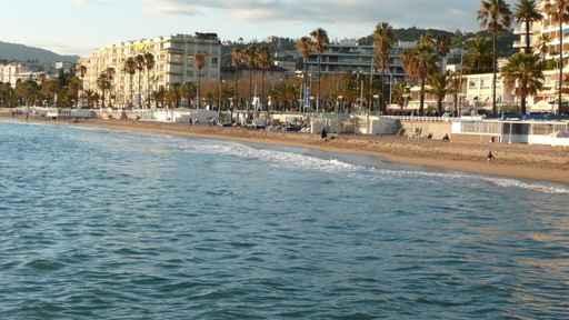 Croisette Wall Decal