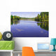 Forest Lake Wall Mural