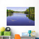 Forest Lake Wall Mural