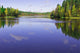Forest Lake Wall Mural