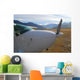 white plane Wall Mural