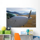 white plane Wall Mural