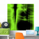 Green Desktop Wall Mural