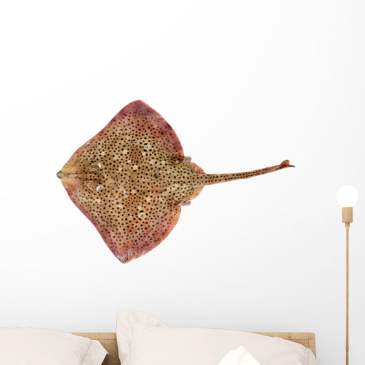 Spotted Ray Fish Wall Decal