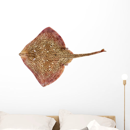 Spotted Ray Fish Wall Decal