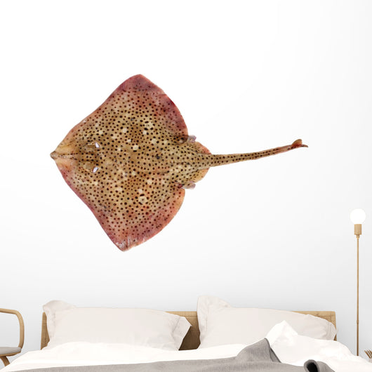 Spotted Ray Fish Wall Decal