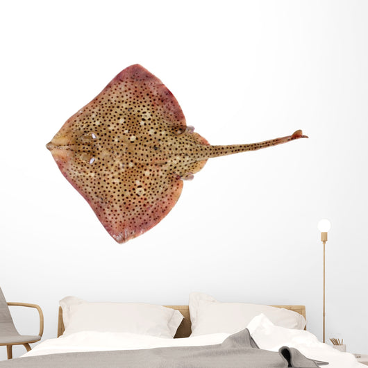 Spotted Ray Fish Wall Decal