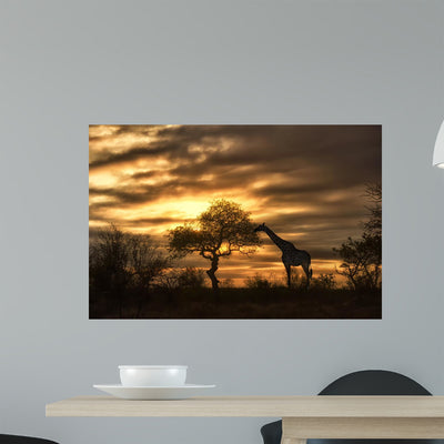 African Giraffe Walking Sunset shown on a wall