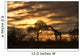 African Giraffe Walking in Sunset 