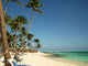 Plage Et Cocotier Iles Wall Decal