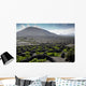 paisaje de lanzarote Wall Mural