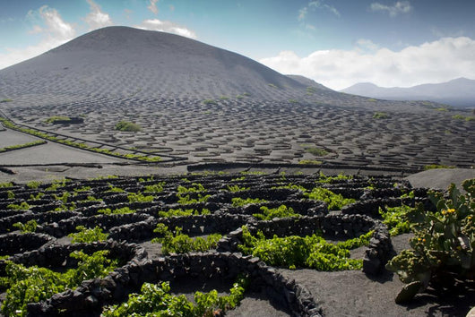 paisaje de lanzarote Wall Mural
