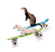 Ferrets Riding Skateboards Wall Decal