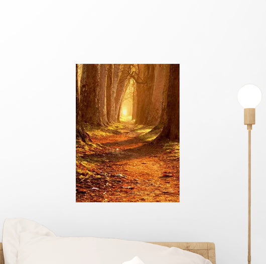 Magic Path Wall Decal