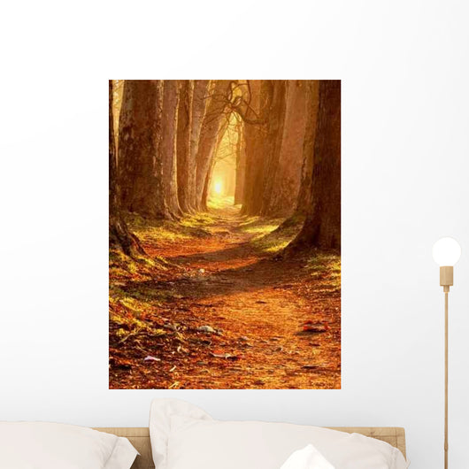 Magic Path Wall Decal