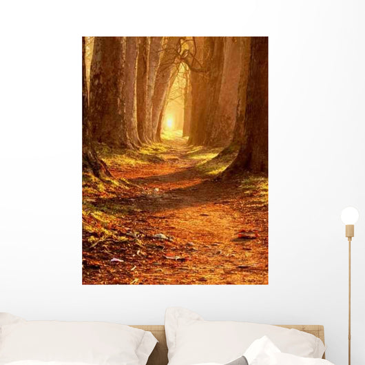 Magic Path Wall Decal