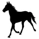 Vector Silhouette of Horse Wall Decal