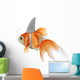 pesce rosso squalo 
