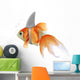 pesce rosso squalo 