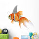 pesce rosso squalo 