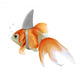pesce rosso squalo 