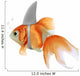 pesce rosso squalo 