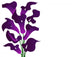 wedding bouquet purple cala lilies 