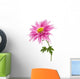 chrysanthemum isolated Wall Decal