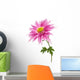 chrysanthemum isolated Wall Decal