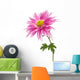 chrysanthemum isolated Wall Decal