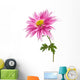chrysanthemum isolated Wall Decal