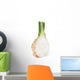 celery root Wall Decal