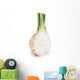 celery root Wall Decal