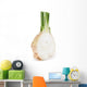 celery root Wall Decal