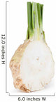 celery root Wall Decal