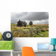 Abandoned Farmhouse On A Stormy Day in Dartmoor 