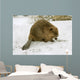 European Beaver Castor Fiber Wall Mural