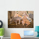 baby pig Wall Mural