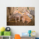 baby pig Wall Mural