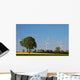 Prior to Tree Wind Wall Decal