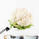 cauliflower vegetable 